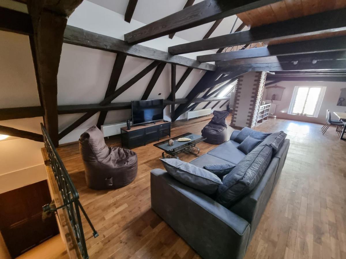 Galerie Vila Lucia 5 -Loft Apartman Пльзень Экстерьер фото