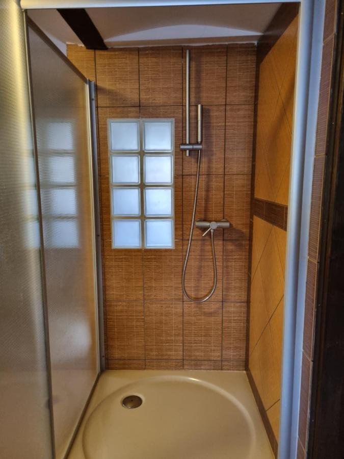Galerie Vila Lucia 5 -Loft Apartman Пльзень Экстерьер фото
